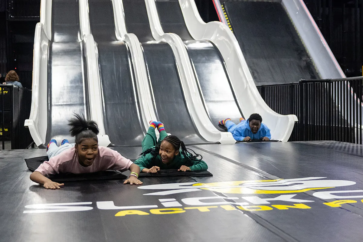 fast lane pigeon forge slide park