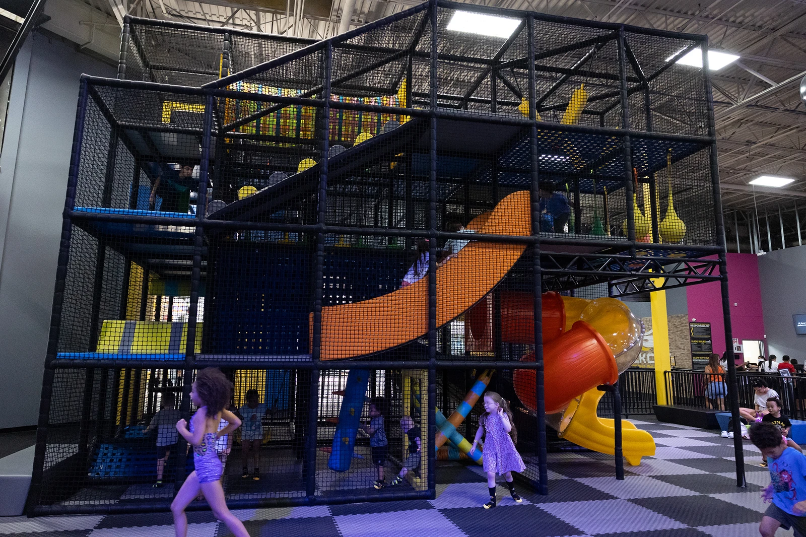 Junior Jungle